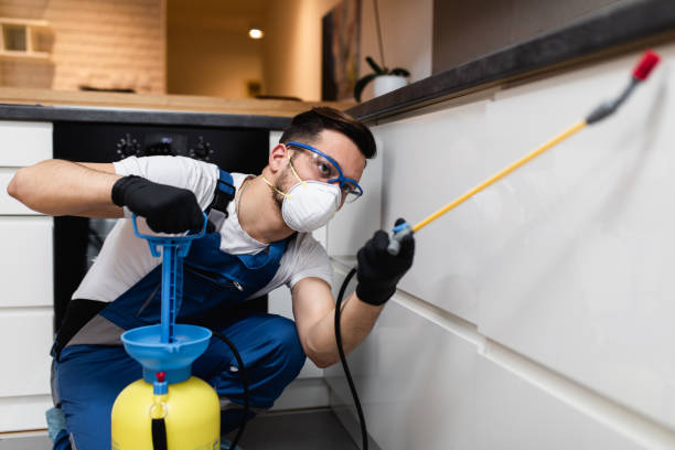 Best Wasp Removal Services  in Macungie, PA