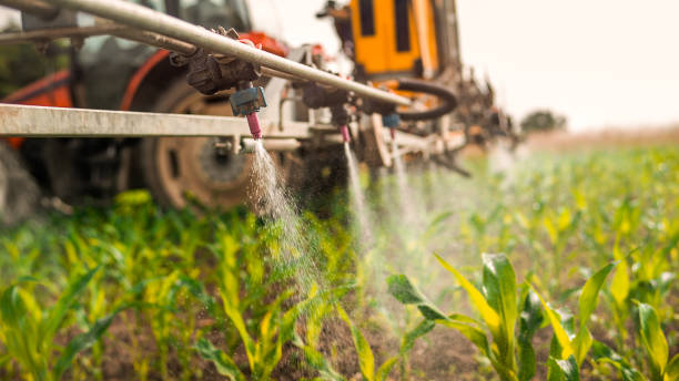 Best Commercial Pest Control Services  in Macungie, PA